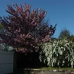 Bastide Du Bonheur Saint Donat Bed & Breakfast