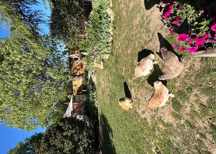 Bastide Du Bonheur Saint Donat Couette-café 4*