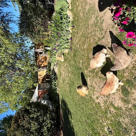 Bastide Du Bonheur Saint Donat 住宿加早餐酒店 4*