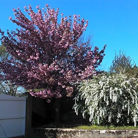 Bastide Du Bonheur Saint Donat Bed and breakfast Gréoux-les-Bains