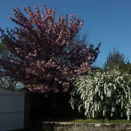 Bastide Du Bonheur Saint Donat Oda ve Kahvaltı