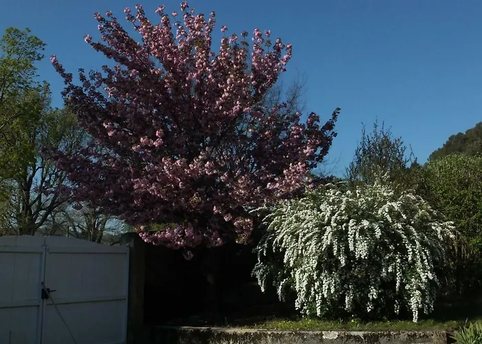 Bastide Du Bonheur Saint Donat Bed & Breakfast